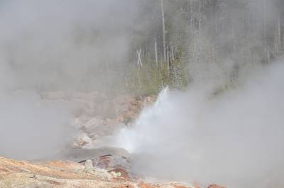 Steamboat Geyser spruttede men kom ikke i udbrud.