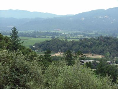 View of Napa Valley