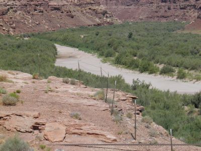 Little Colorado River var helt udtrret ved Cameron