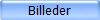 Billeder