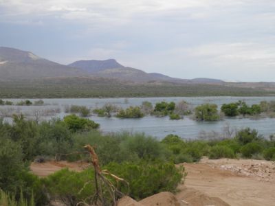 Den nordlige ende af Roosevelt Lake